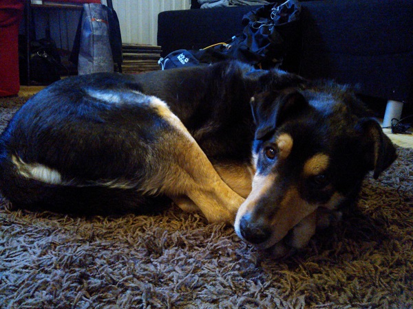 Grafi w DS   (6).jpg