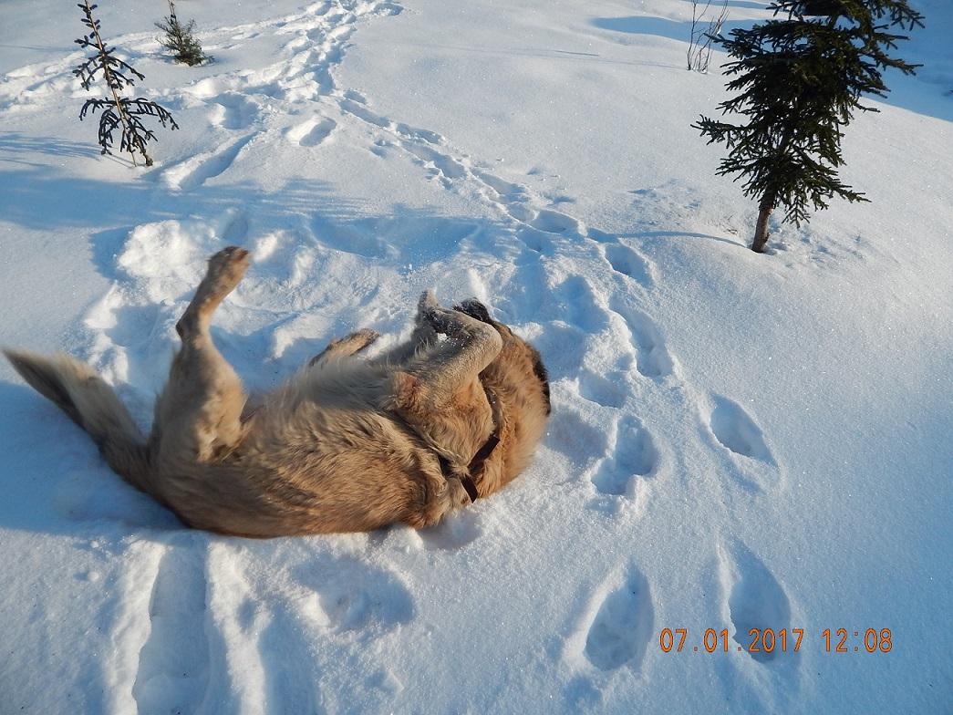 DSCN5651 — kopia.JPG