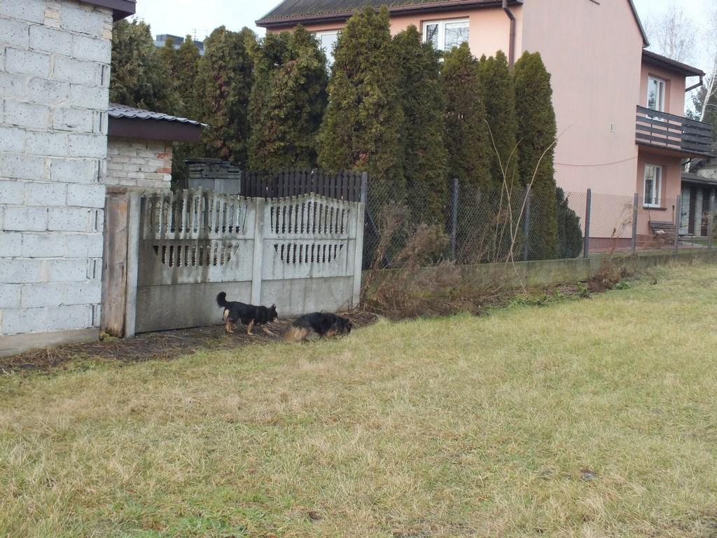 DSCF1091 (Kopiowanie).JPG