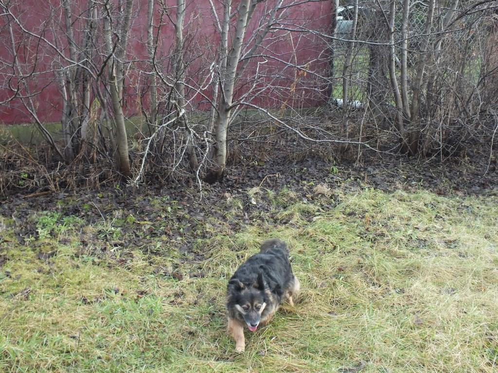 DSCF1092 (Kopiowanie).JPG