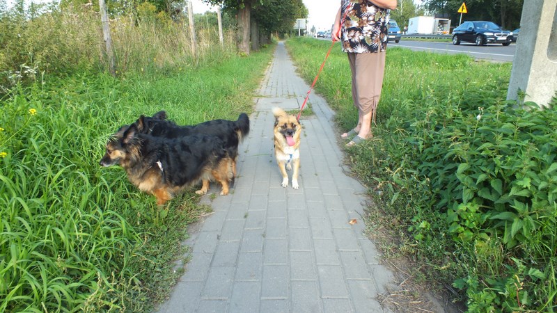 DSCF1355 (Kopiowanie).JPG