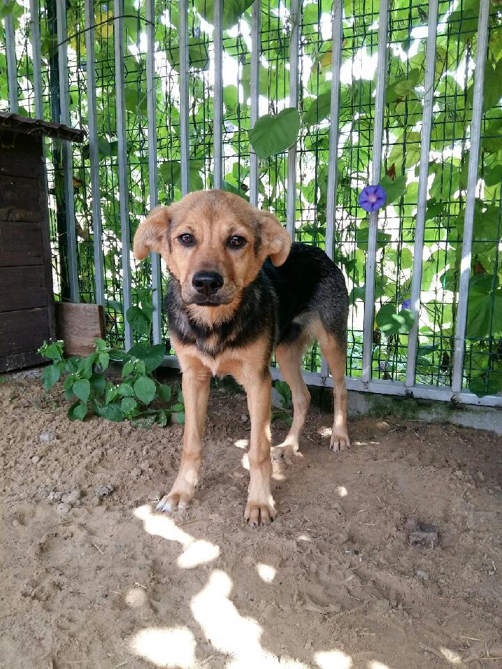 Niwa 13.09.2017.jpeg