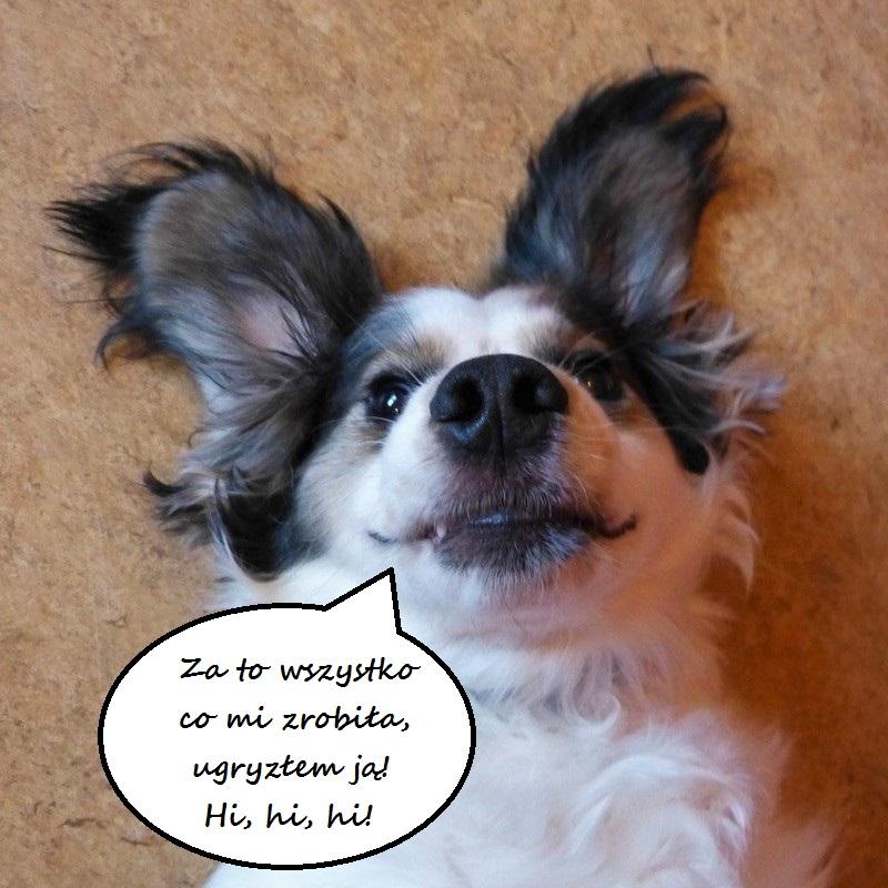 P1420176 — kopia.JPG