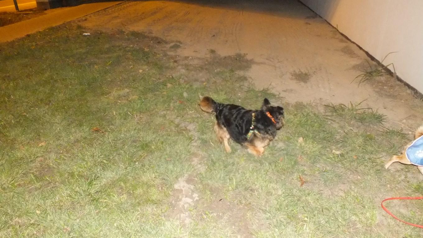 DSCF1563 (Kopiowanie).JPG