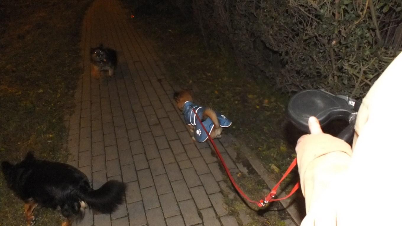 DSCF1547 (Kopiowanie).JPG