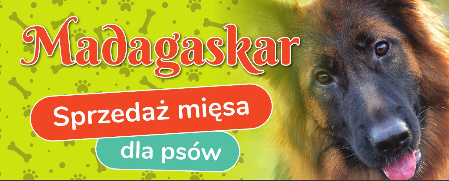 dooglonasprzedajemy.jpg