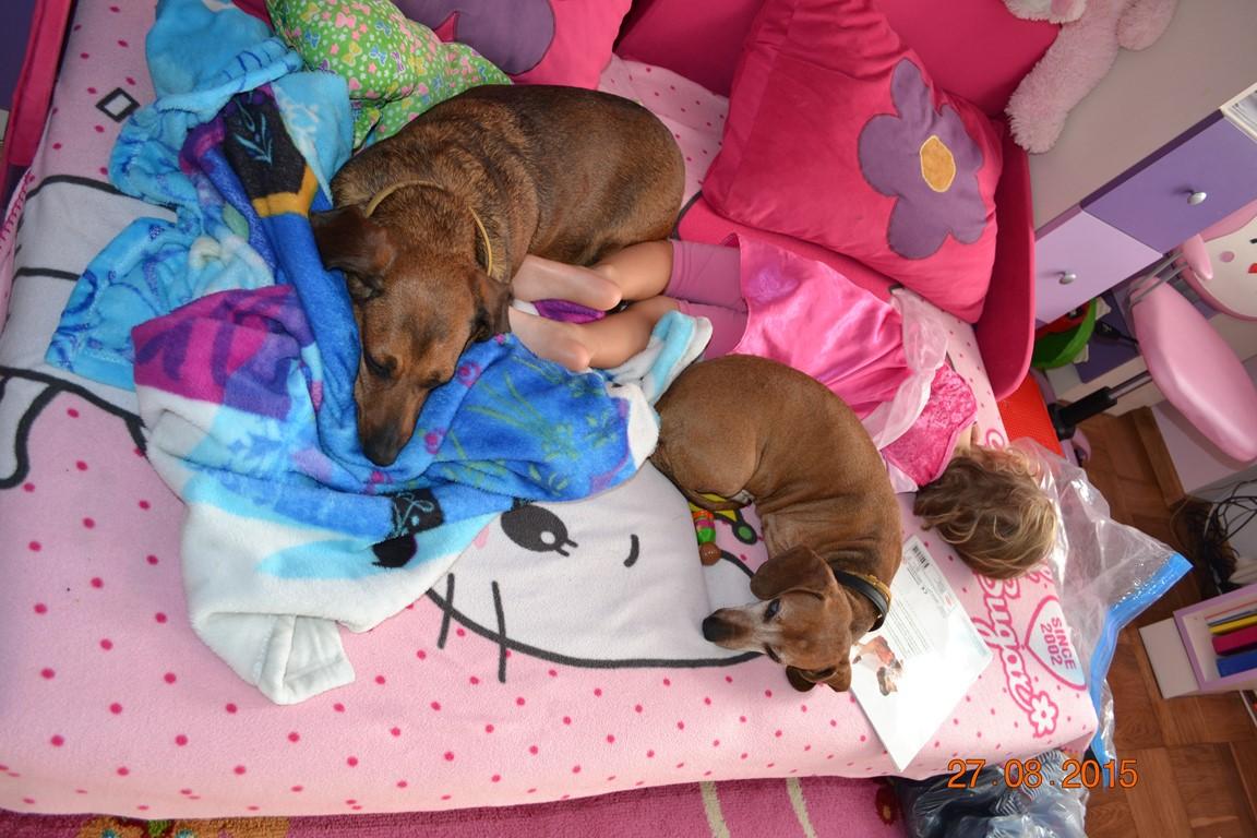 DSC_0727 (Kopiowanie).JPG