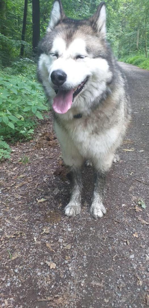 WhatsApp Image 2019-07-15 at 14.34.33.jpeg