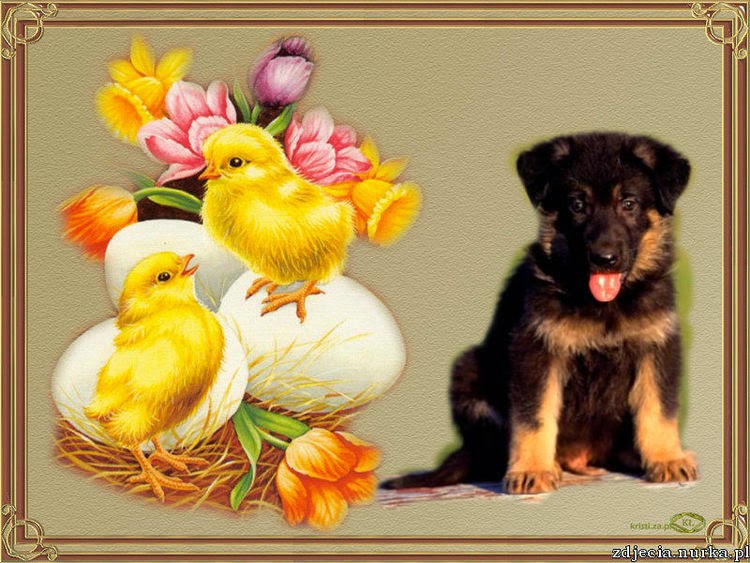 1720044014_naWielkanoc.jpeg.958f9cc7844a3fec878dc6cab37e2c1a.jpeg