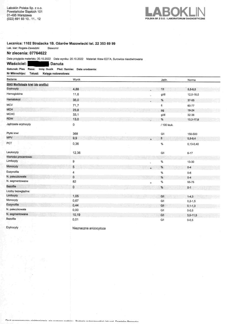 Guzik_badania_1.JPG