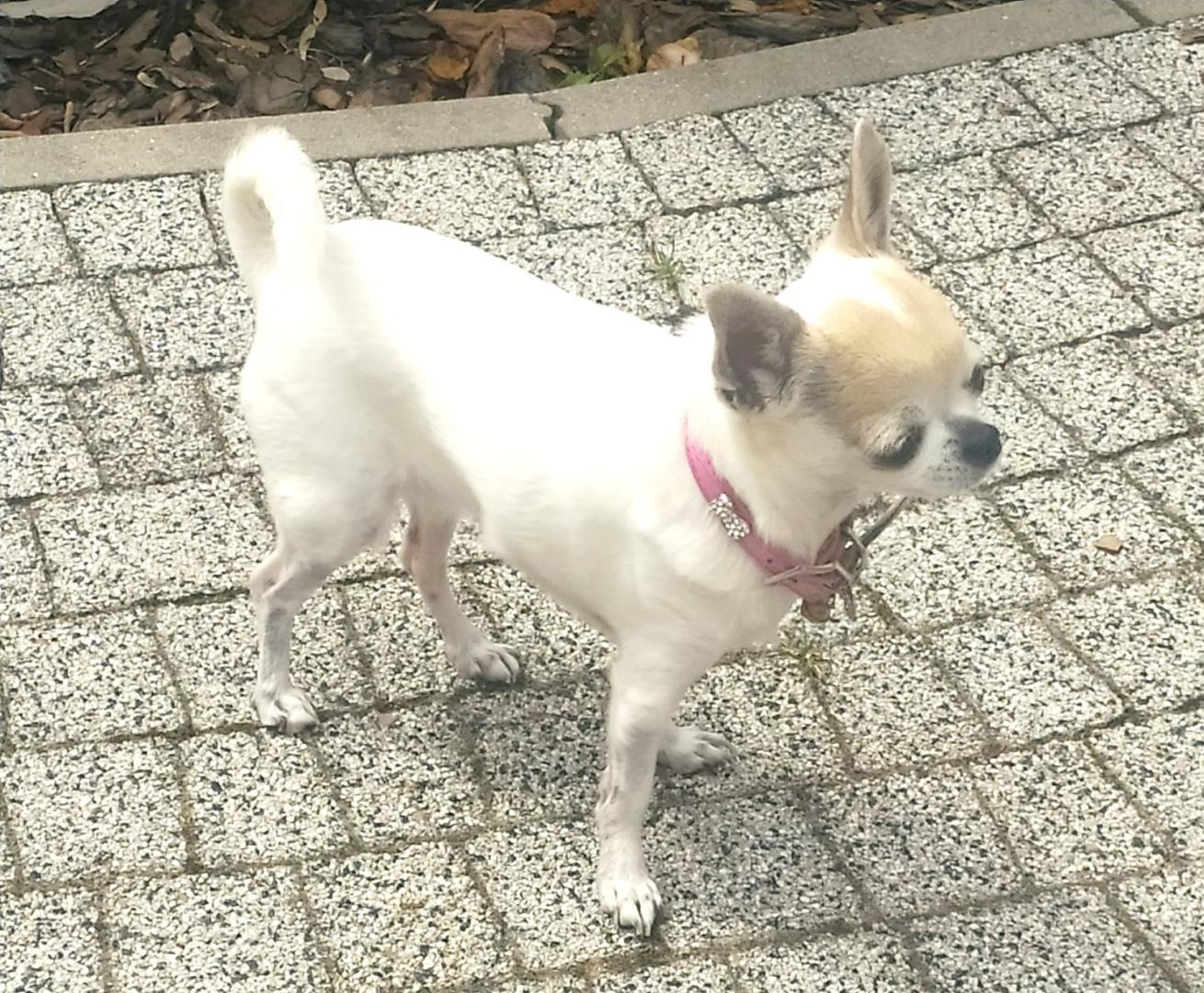 1670021010835 (2).jpg