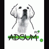 Adsum