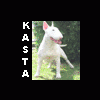kasta