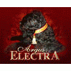 Argus Electra