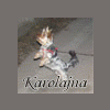 Karolajna