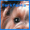 Yorkfanka