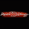 Red Dingo