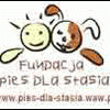 PiesdlaStasia