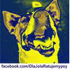 OlaJola